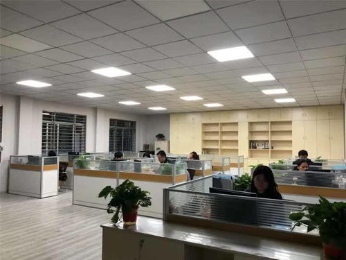 扬州玉器厂迎战双十一 电商中心启用，民办培训机构助阵